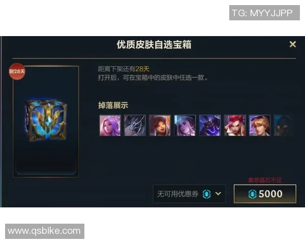 深度对话:杨芳如何在英雄联盟中书写自己的传奇人生 深度对话:杨芳如何在英雄联盟中书写自己的传奇人生