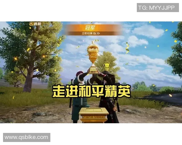 专访刘娜揭秘和平精英成功背后的策略与创新之路